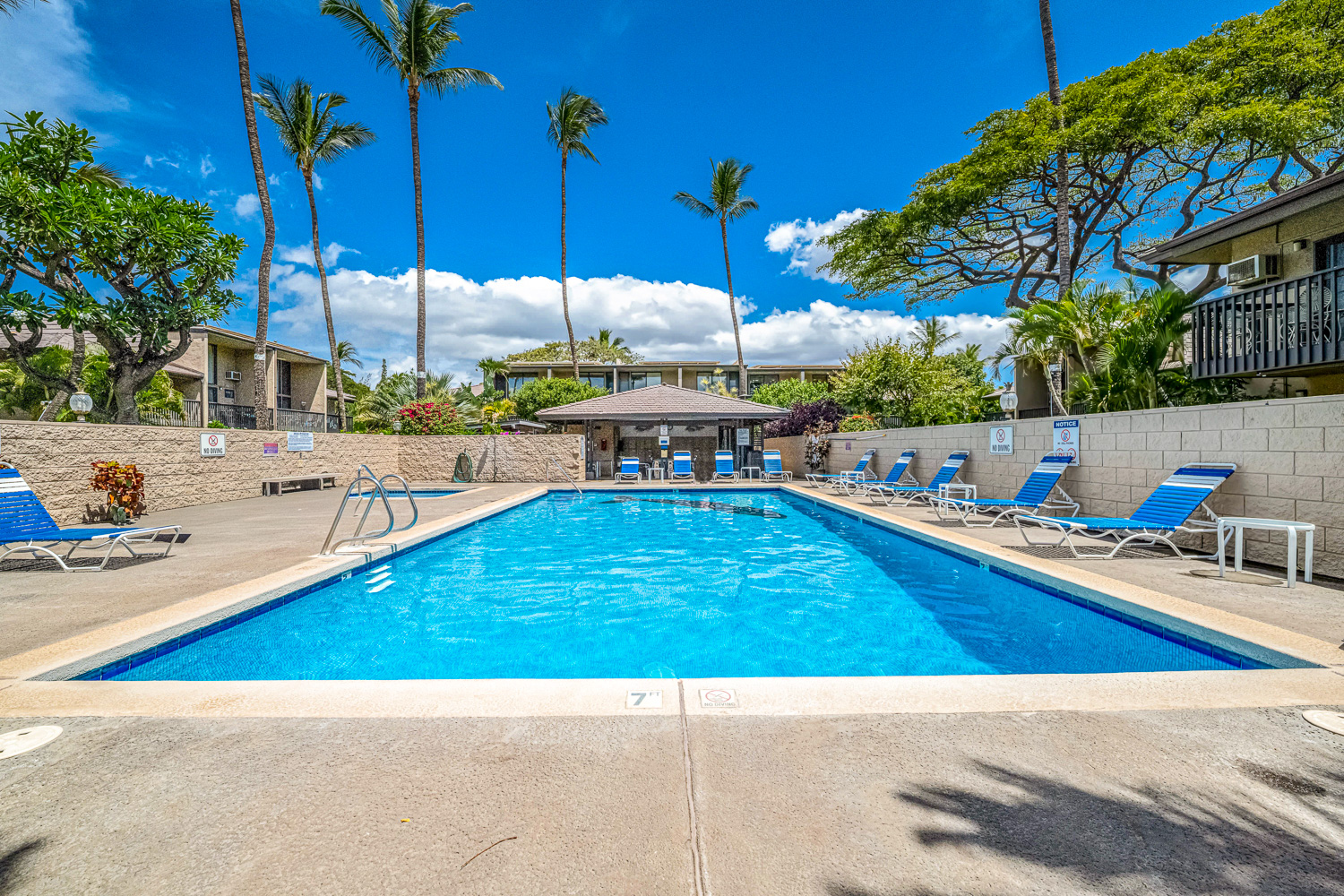 Take a quick dip, catch some rays