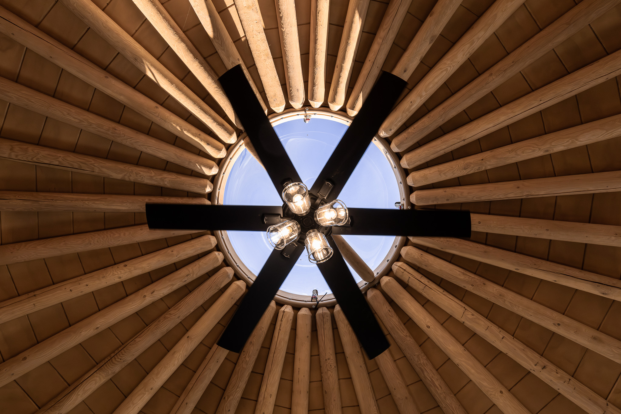 Look straight up to the dome’s skylight and soaring timber ceiling, a signature feature that fills the space with natural light.