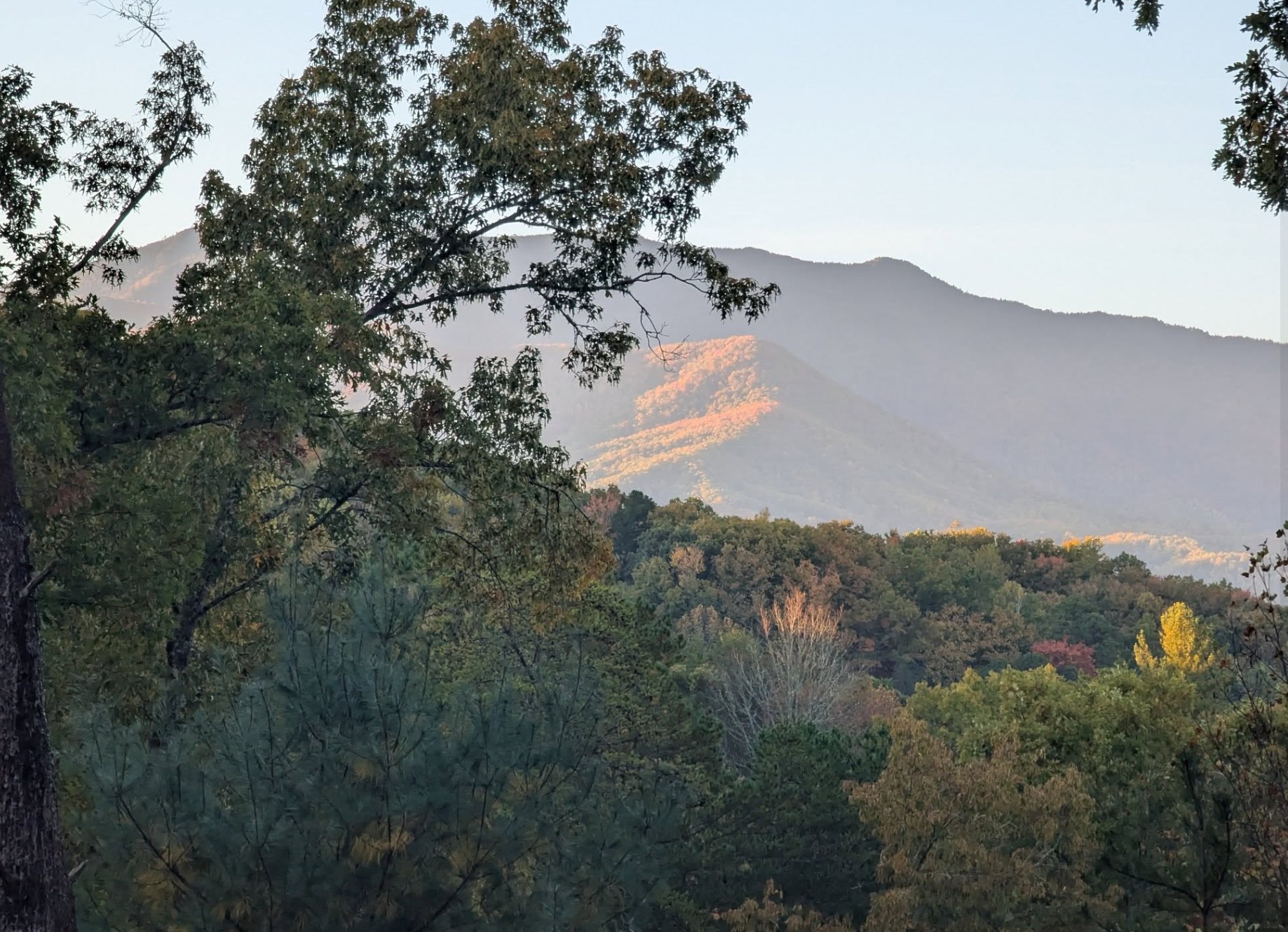 We love when guests share photos with us like this one of the early fall view.