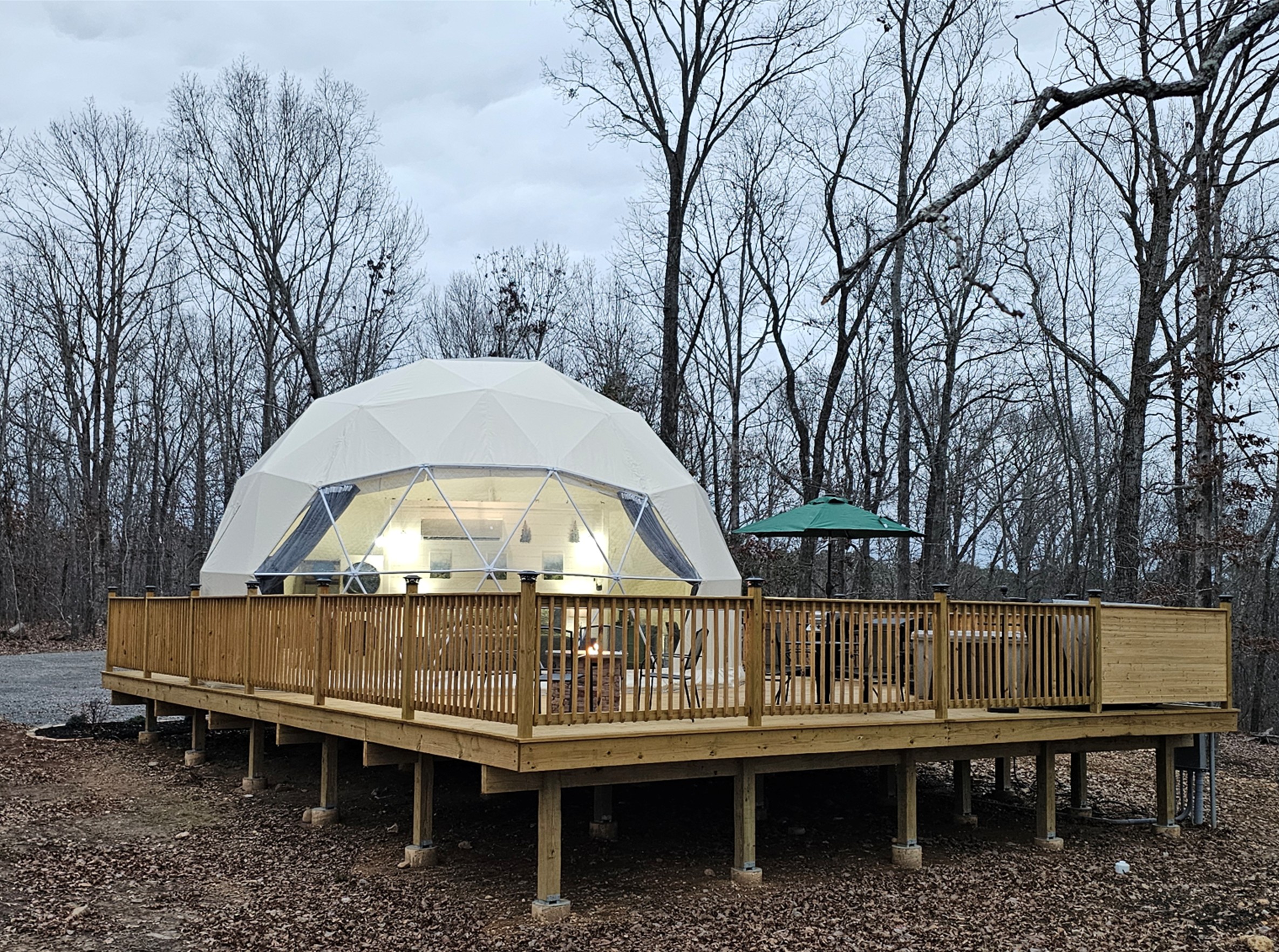 Where the forest grows quiet and the dome comes alive