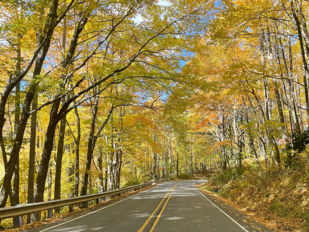 Highway 209 during peak leaf season