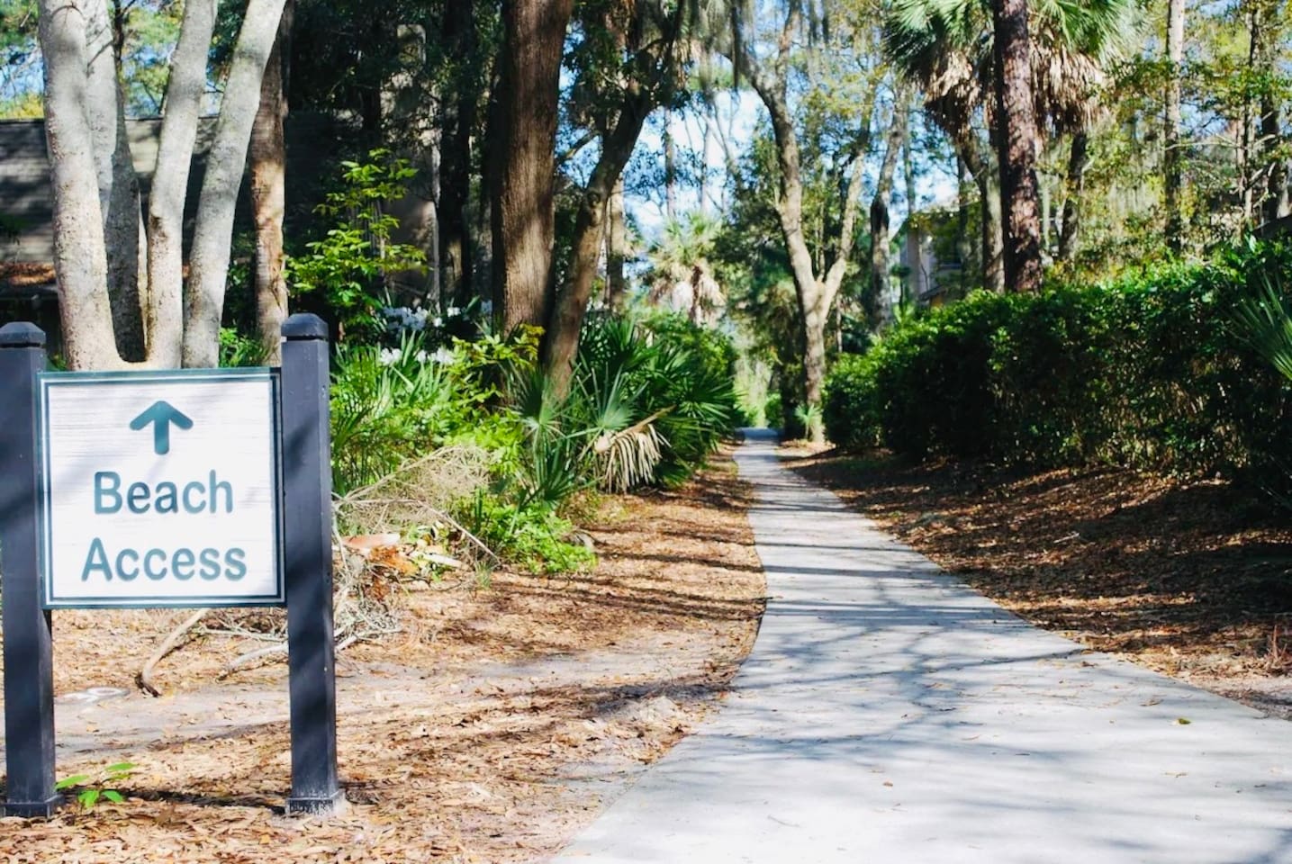 Path to the beach access
