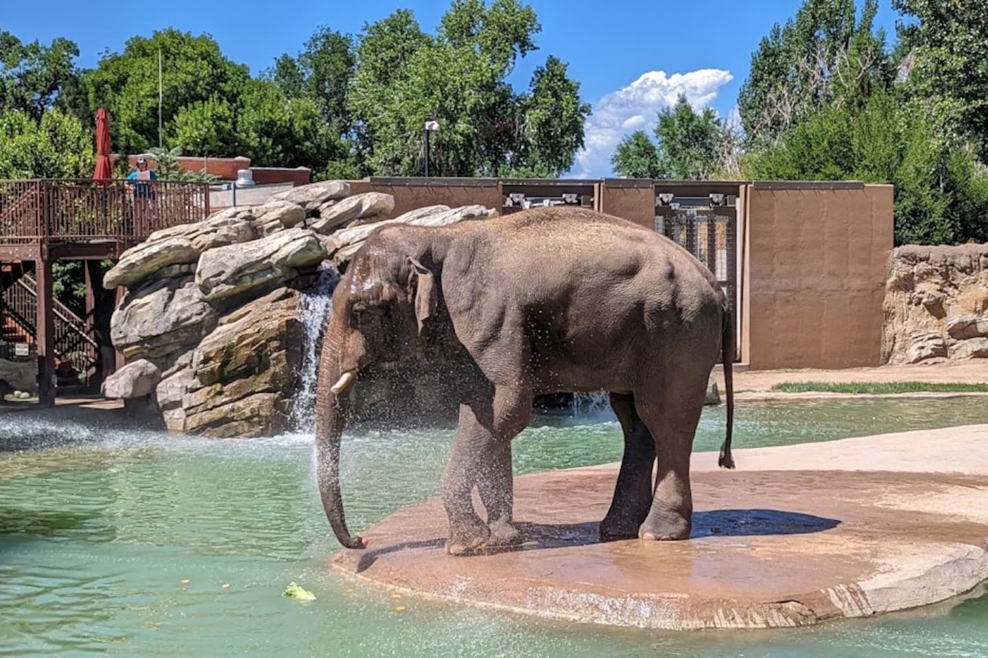 Visit the Denver Zoo