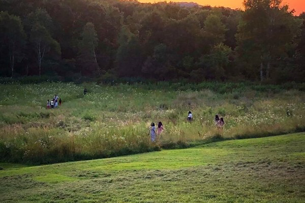 We maintain little trails throughout the wildflower field so you can go exploring. Will you find an apple tree? A baby deer?