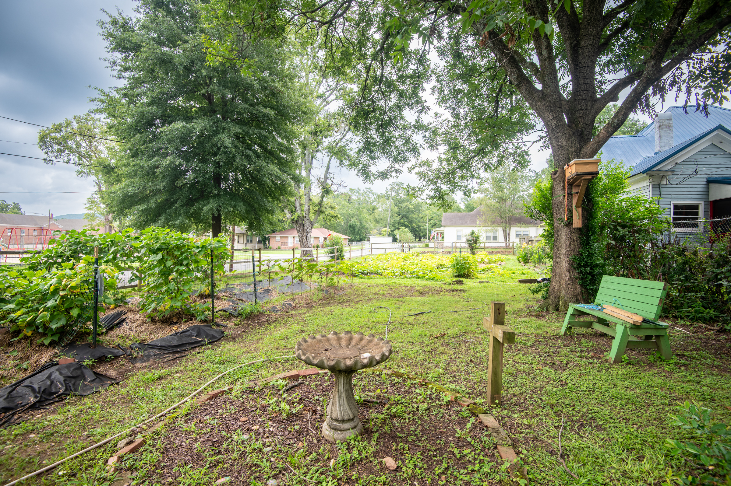 Whether you're enjoying the flowers, watching the seasons change, or simply taking in the scenery, this hidden neighborhood gem is right next door for you to explore.
