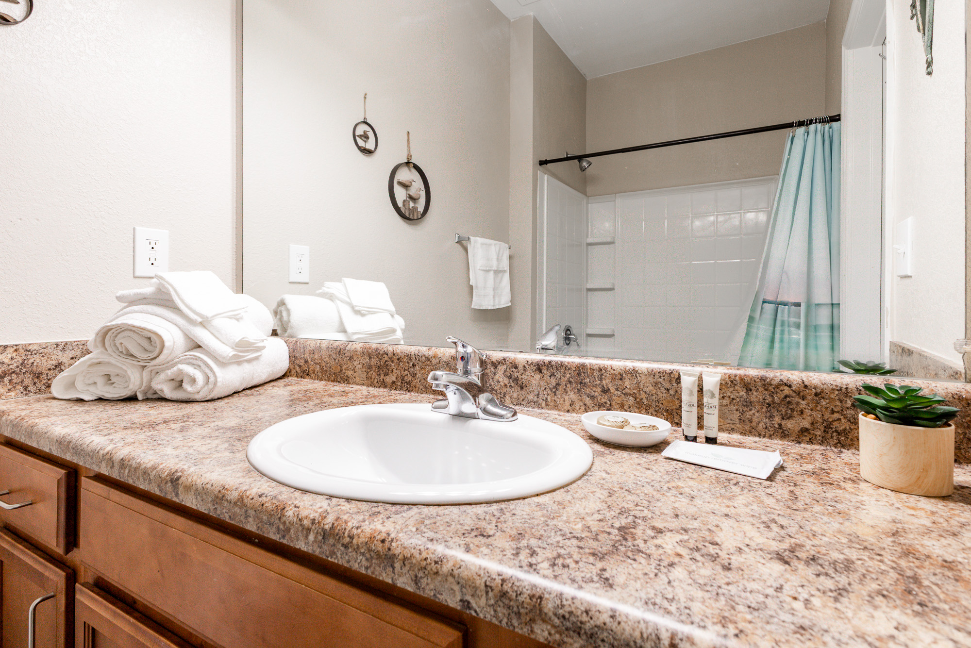 lotion, soap, shampoo and conditioner