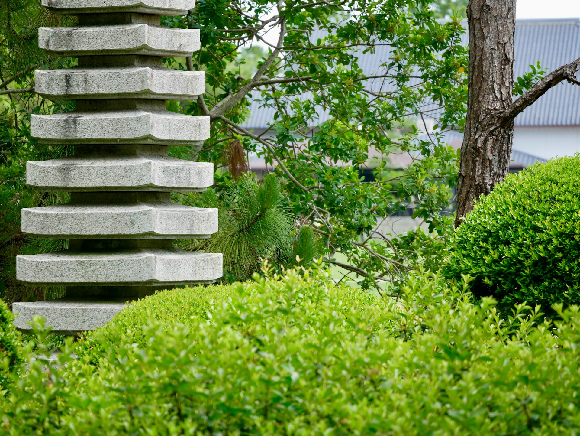 Close to Morikami Gardens