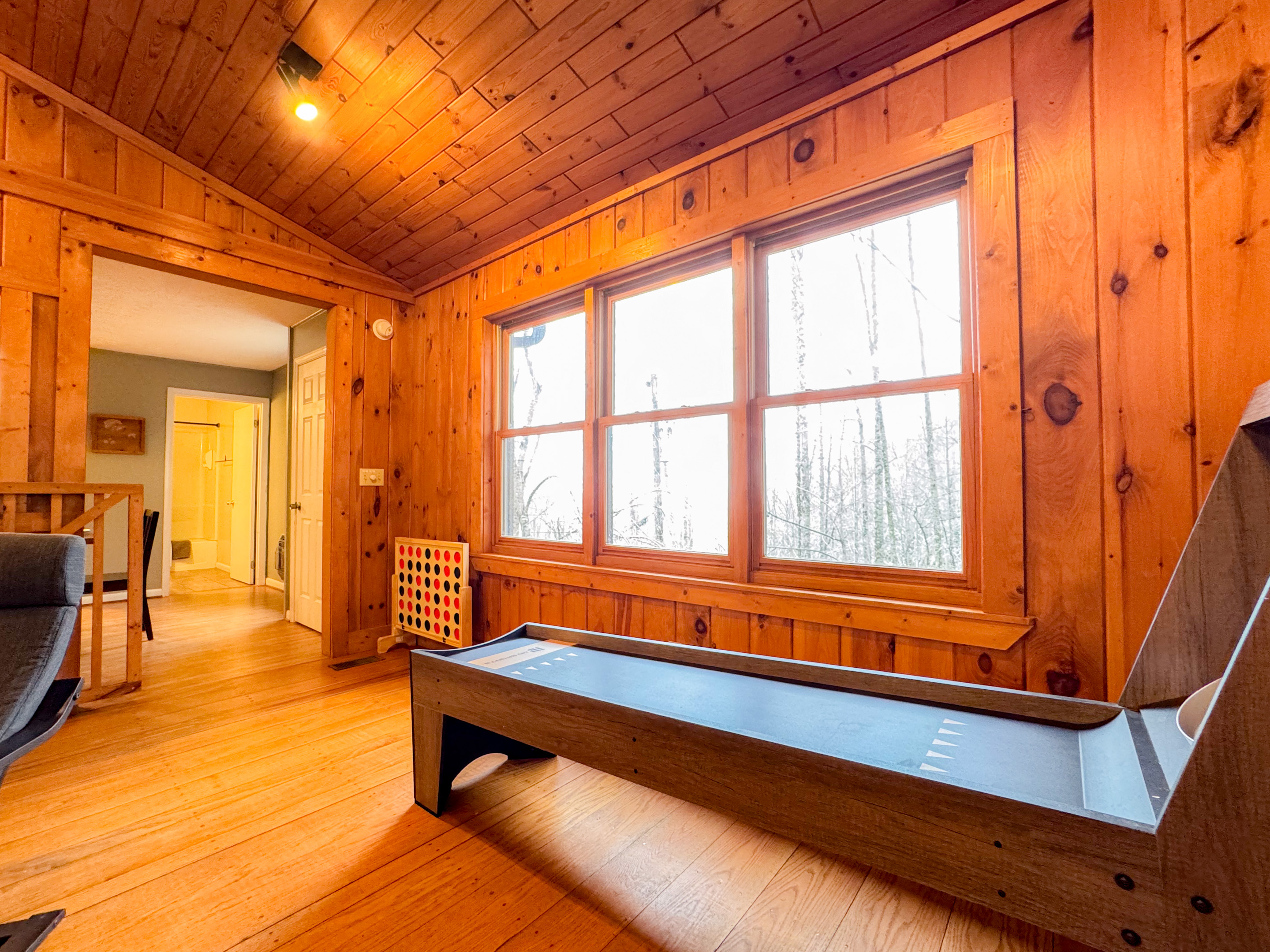 ski-ball overlooking the Smoky Mountains
