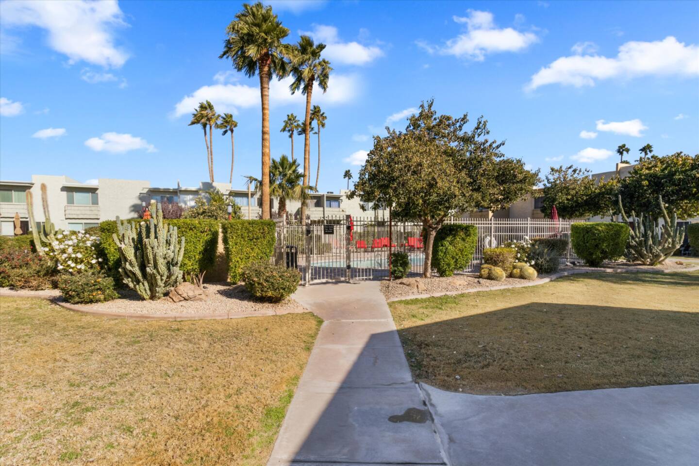 Community walkway with palm trees, desert landscaping, and shared pool access nearby.
