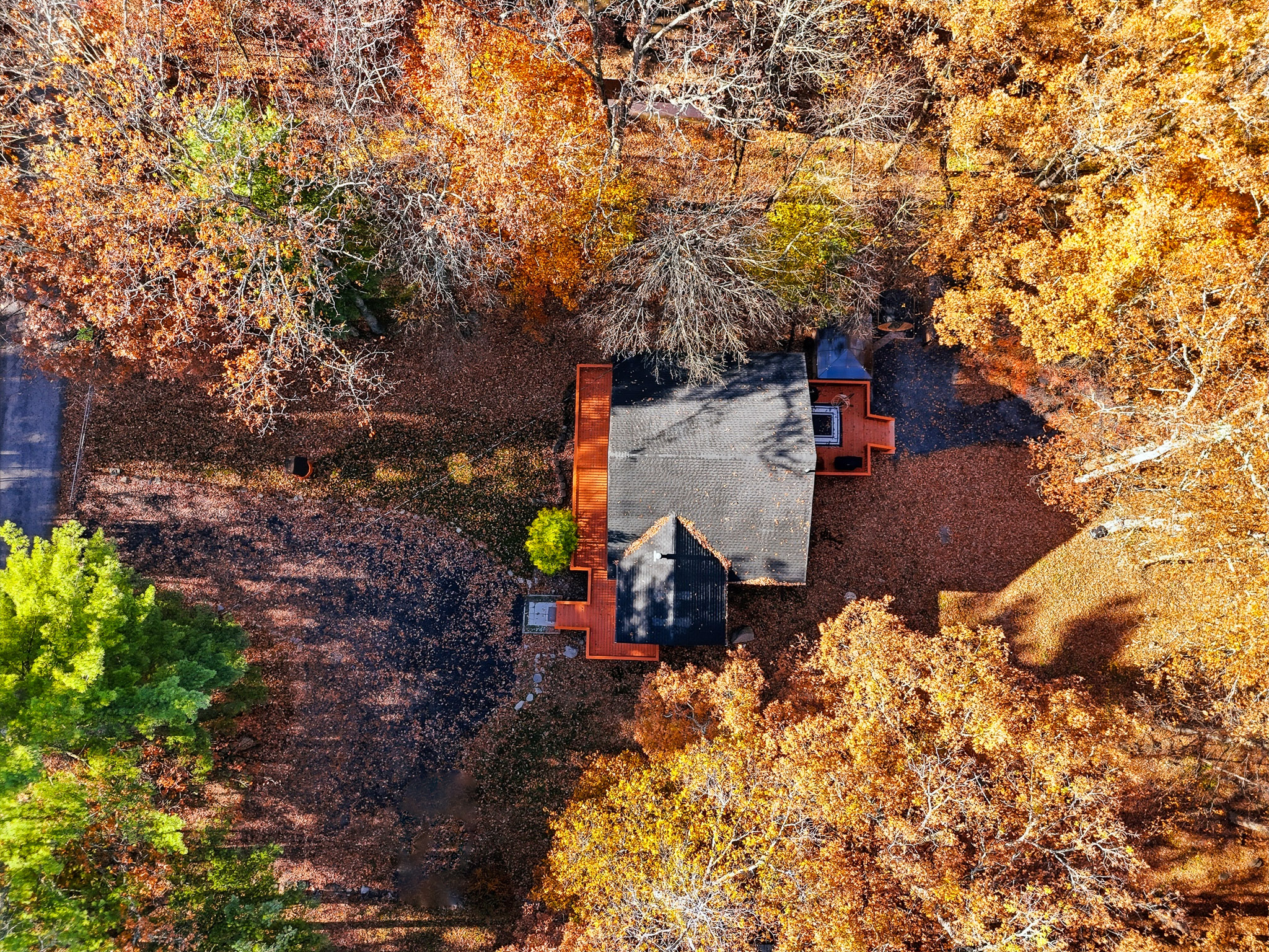 Aerial showing house amongst the trees