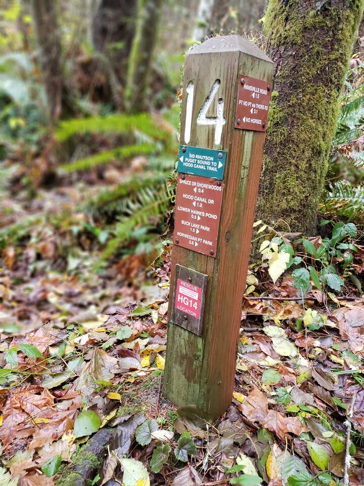The Puget Sound is revered for its nature and beauty. We invite you to explore and see what it is all about.
