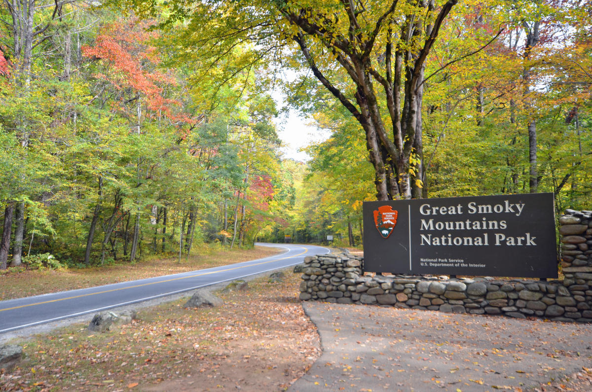 Park life! Great Smoky Mountains National Park is nearby!