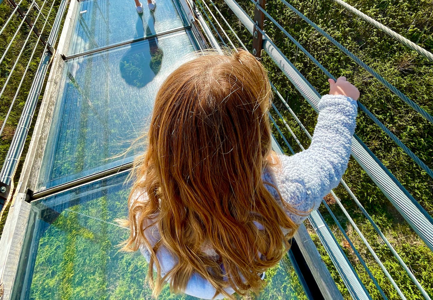 Walk across the glass sky bridge in Gatlinburg, if you dare!