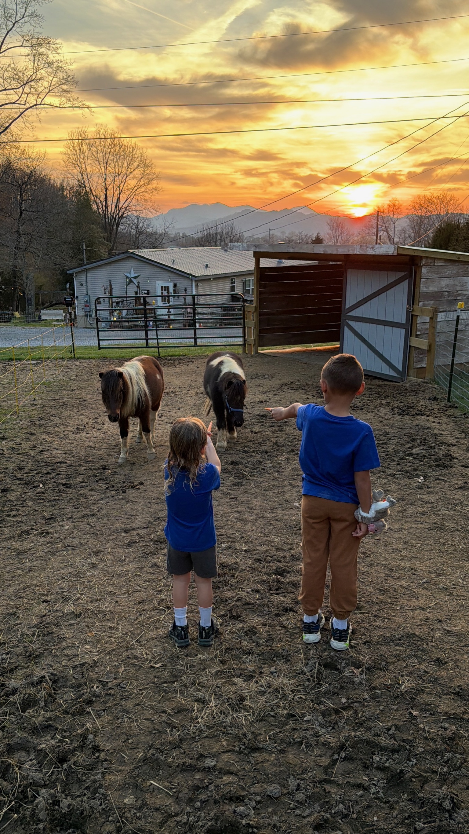 We feed Maui and Moana two times a day. Your family is welcome at all of them.