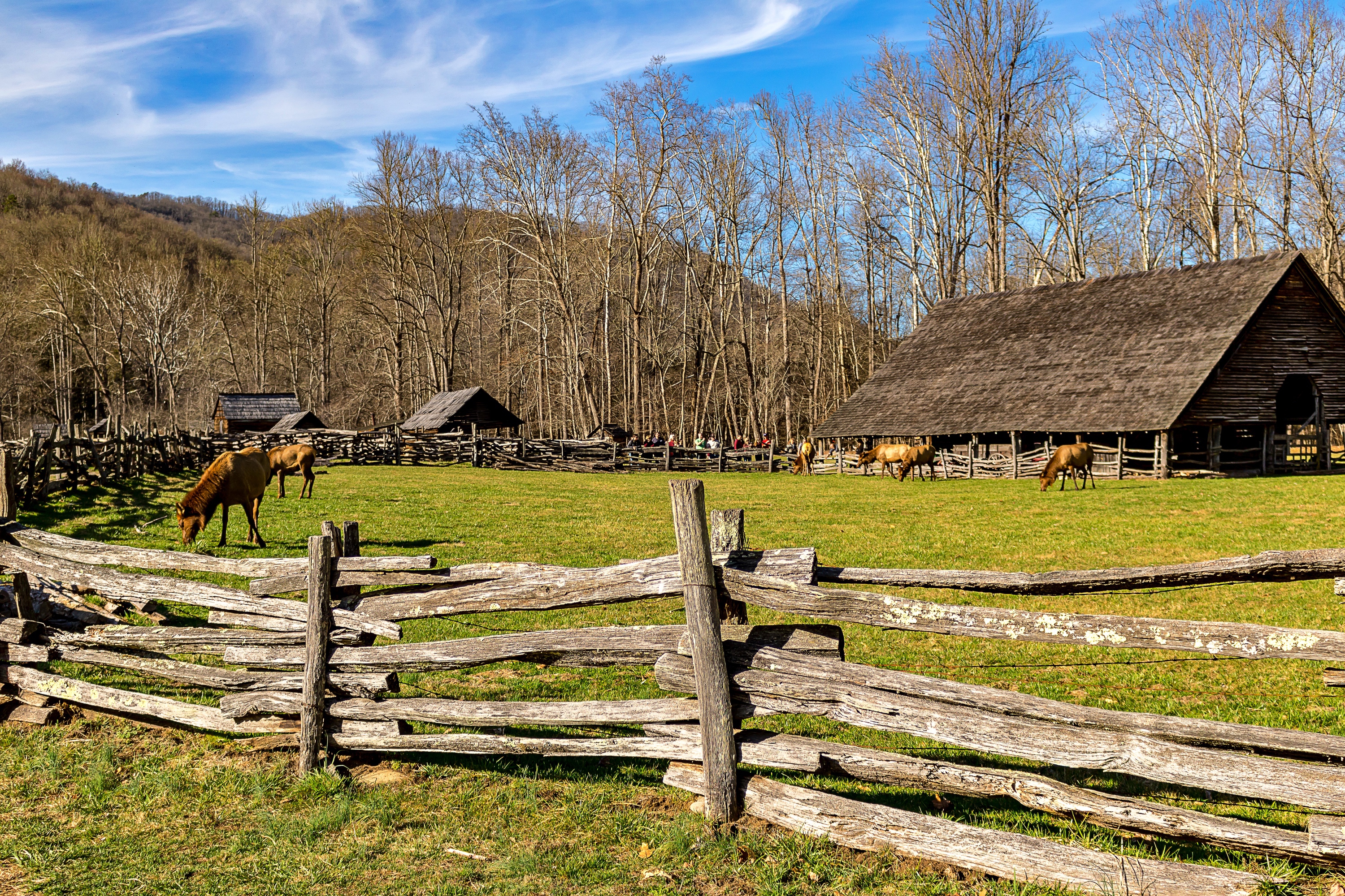 Oconalauftee visitor center is a hidden gem for the family! Located a few miles away in Cherokee at the entrance to the National Park