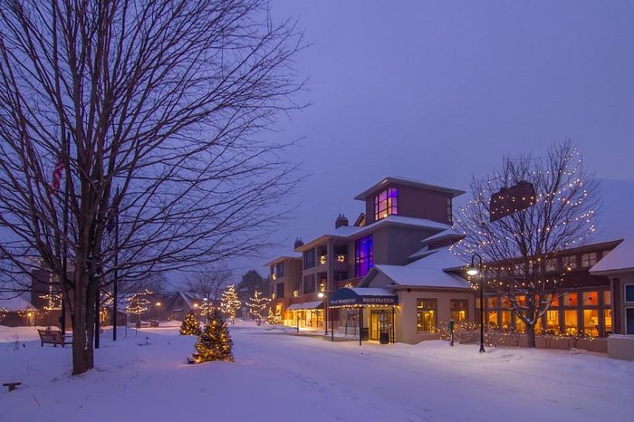 Crystal Mountain is less than 30 minutes down the road for downhill skiing, hiking the Legacy Art Park and relaxing at the Crystal Spa. 