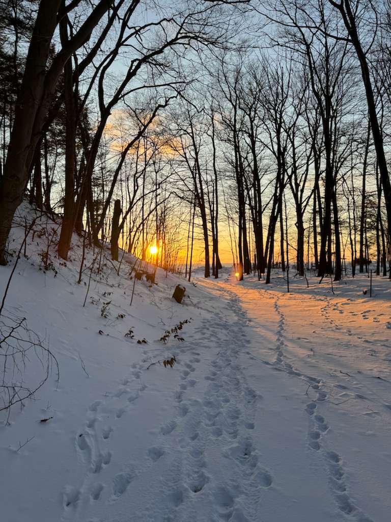 Stroll down this magical snow-dusted trail lined with towering trees as the sun sets over Lake Michigan. A perfect moment of winter calm and natural beauty