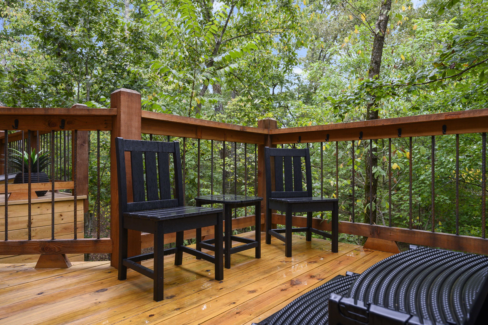 Creek-facing deck