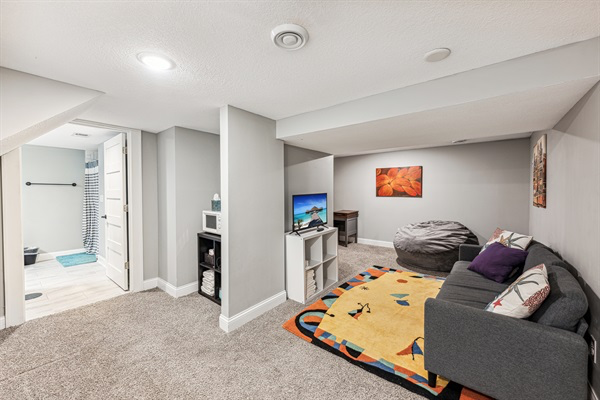 Basement cozy family room