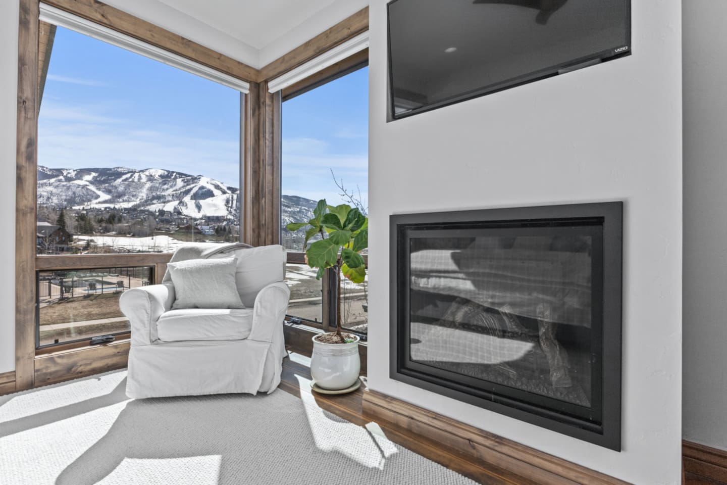 Gas Fireplace & HDTV