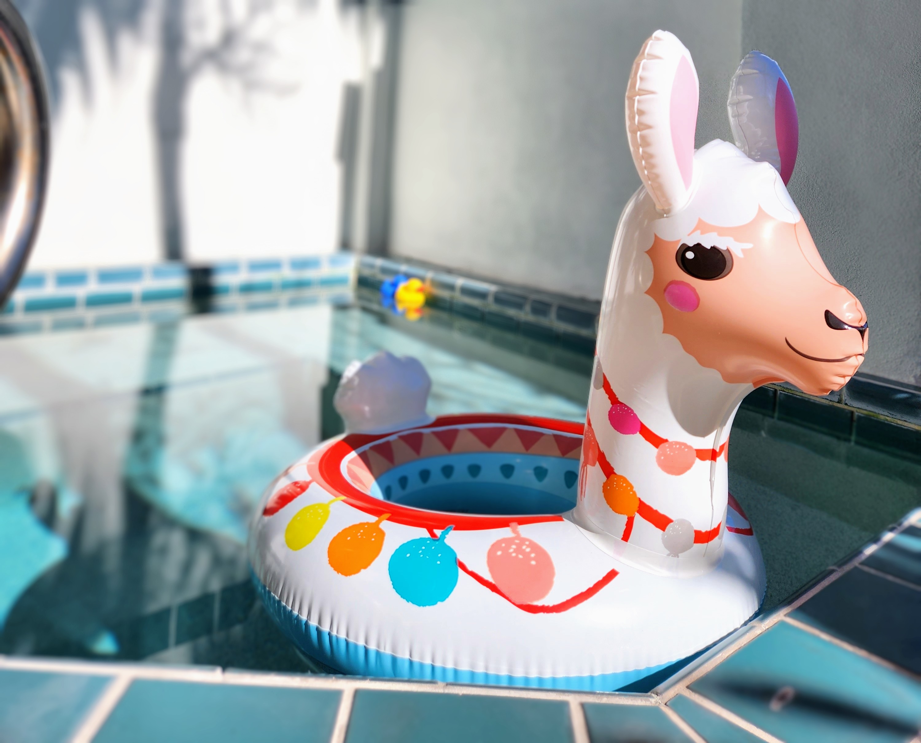 Take a dip in the plunge pool