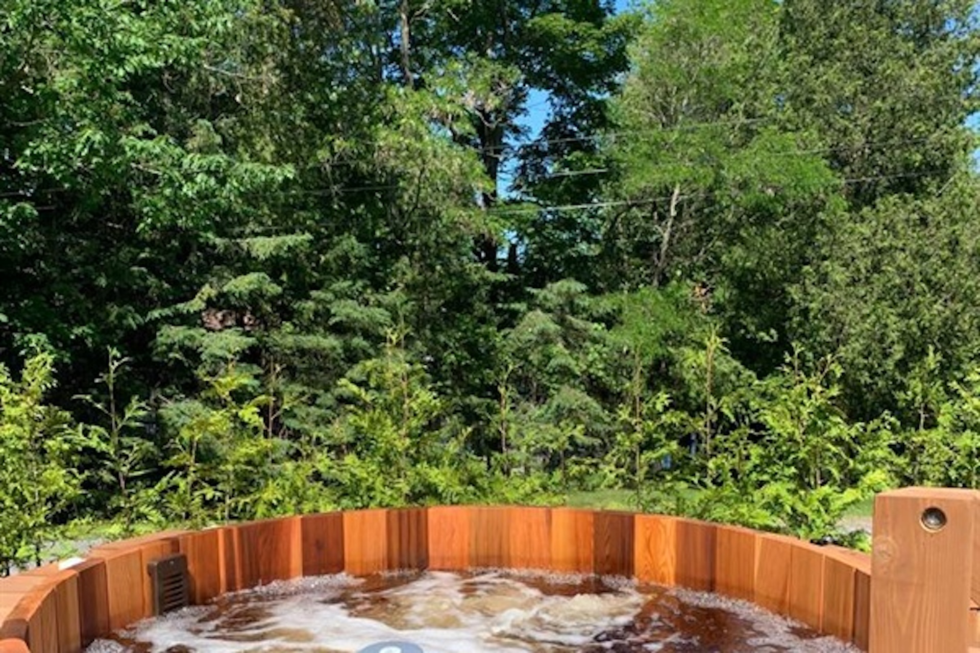 Private hot tub surrounded by trees for added privacy