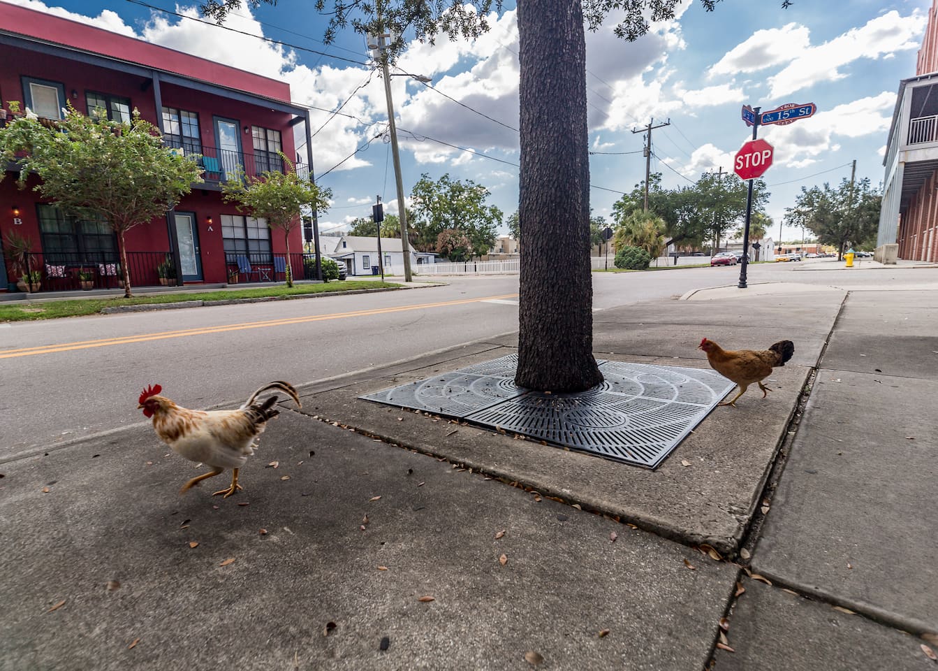 Locals