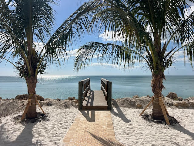 New boardwalk and Palms