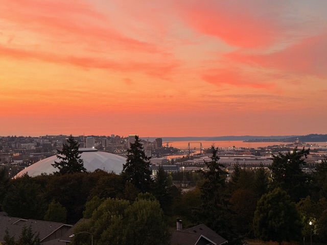 Patio view