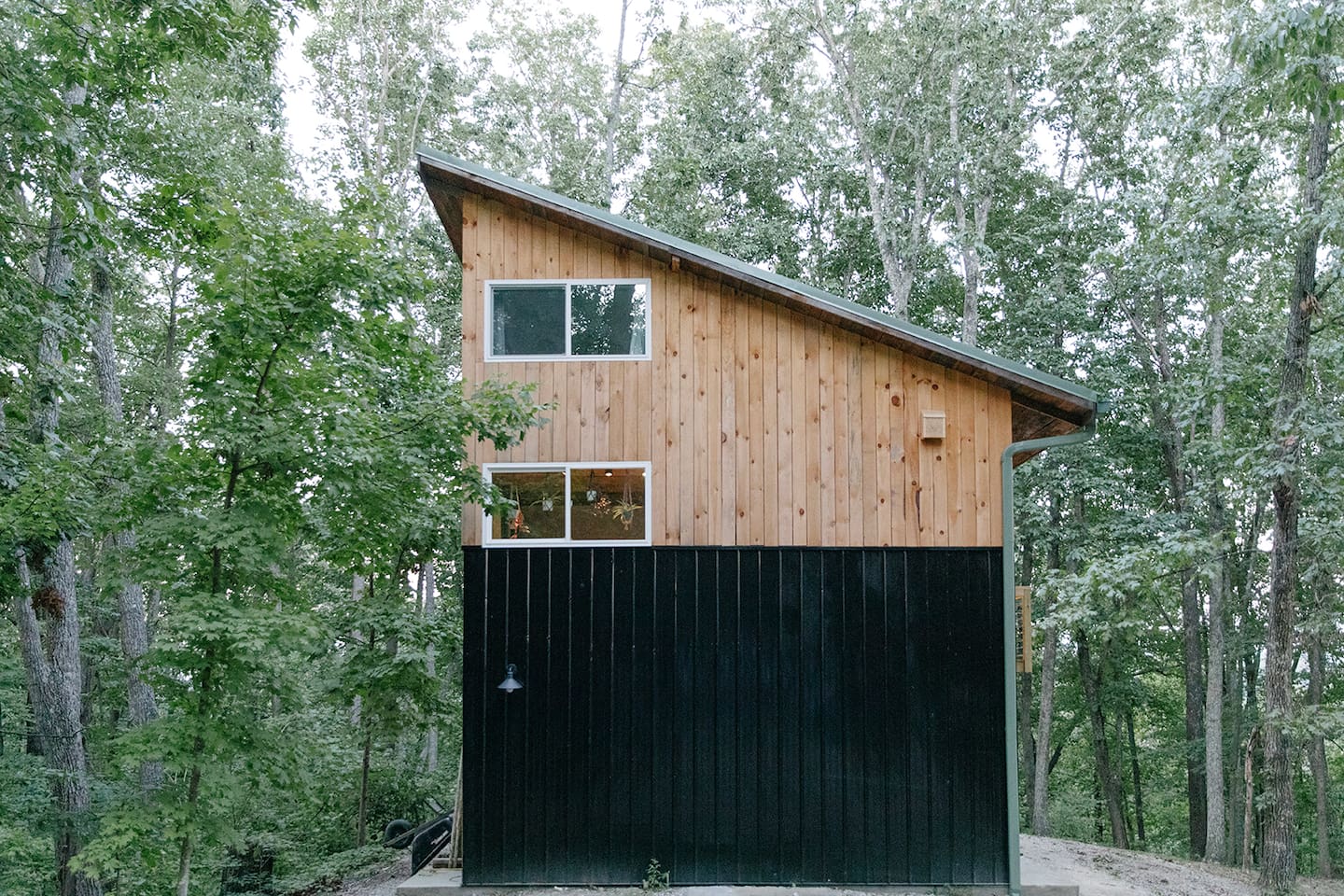 Front view of Forest View
