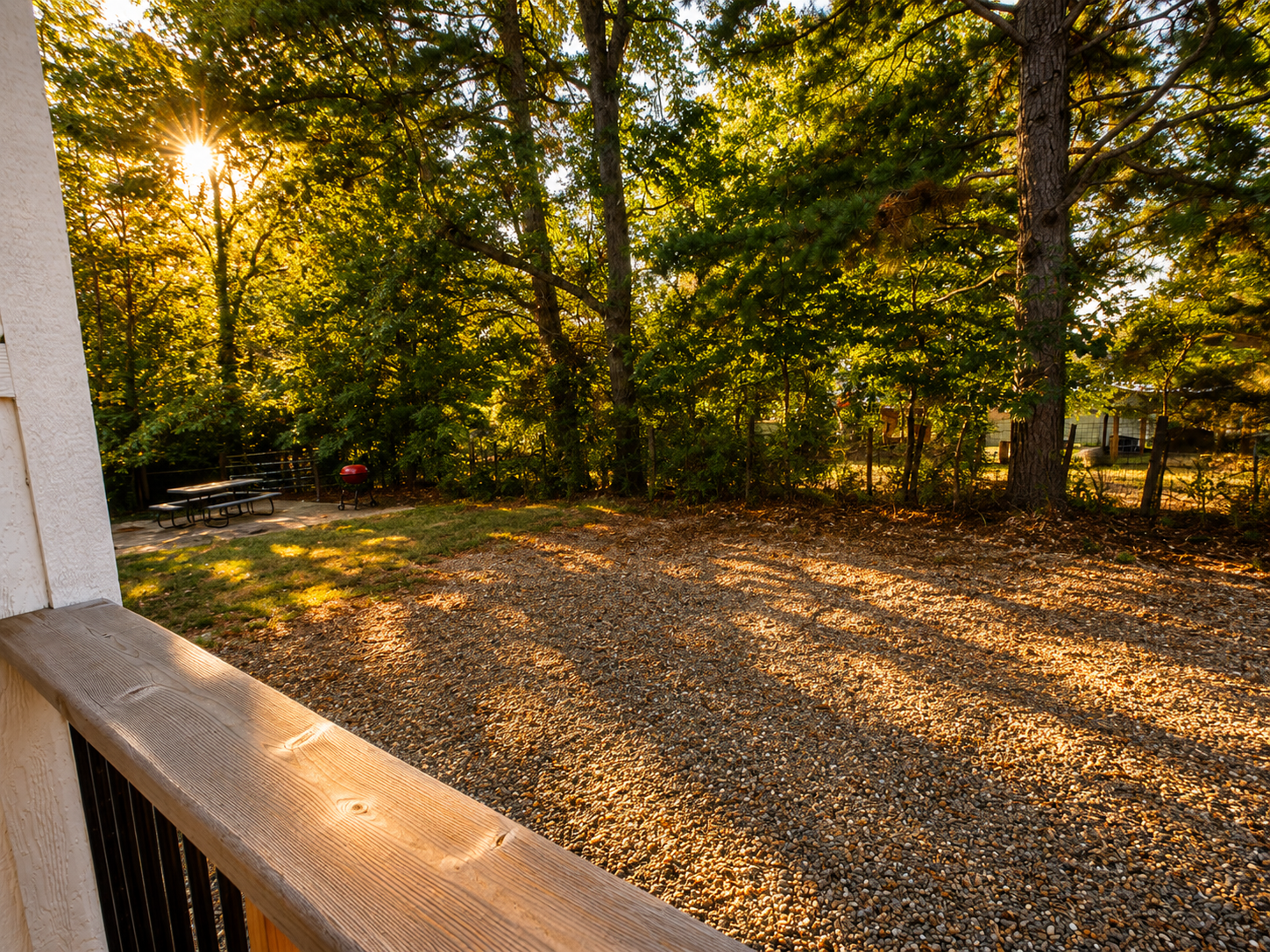 Backyard