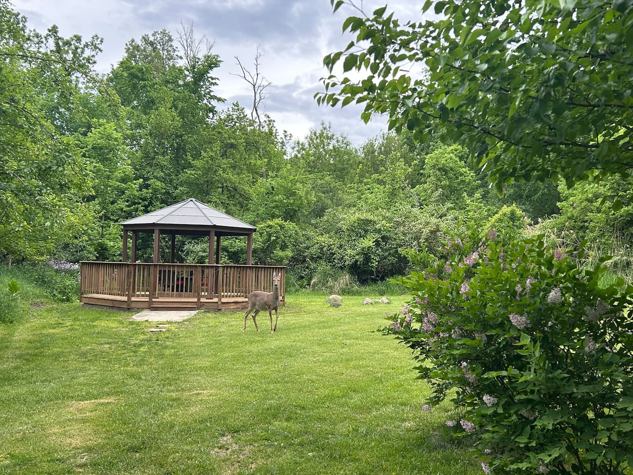 The gazebo is a great place to watch the deer that come through the yard.