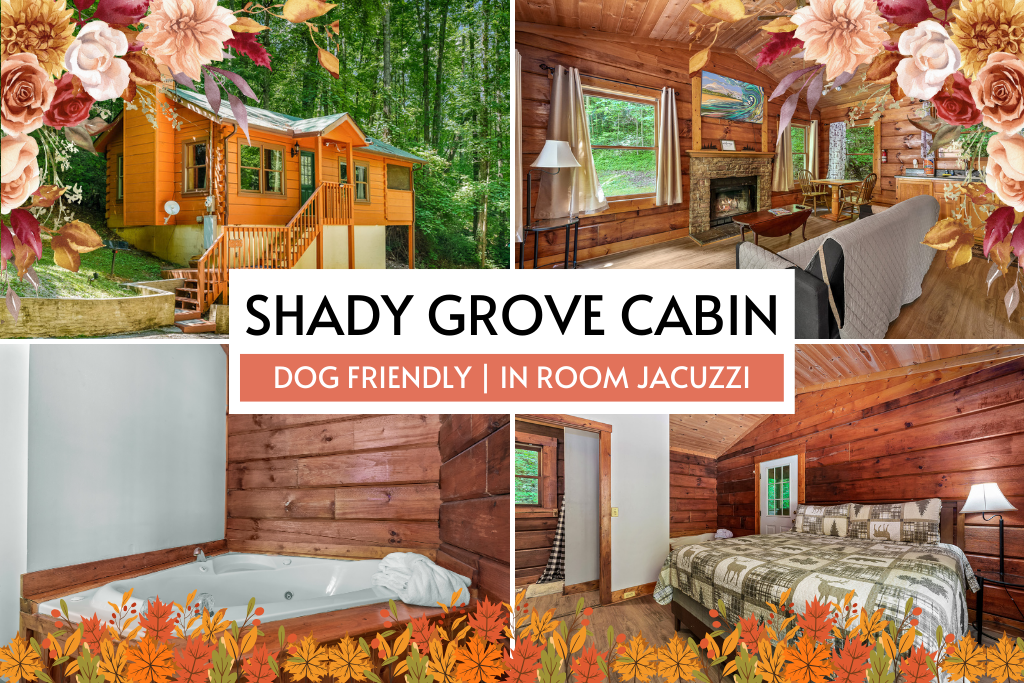 Welcome to Shady Grove Cabin – your private, dog-friendly Smoky Mountain escape!