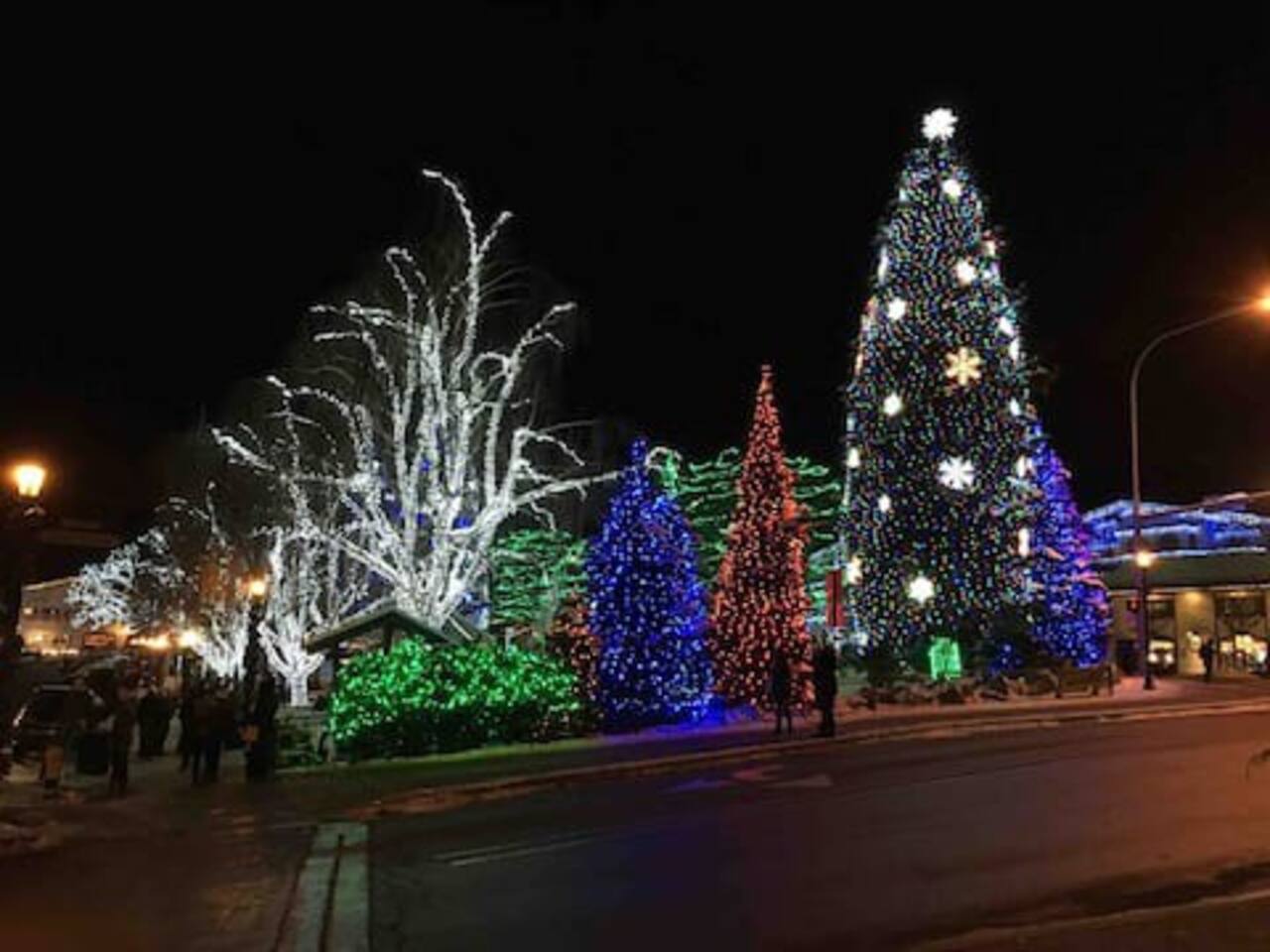 Christmas lights downtown. 