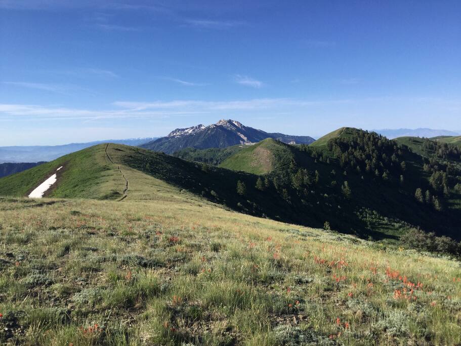 Beautiful views
