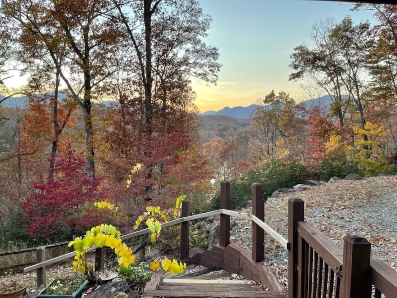Views from cabin