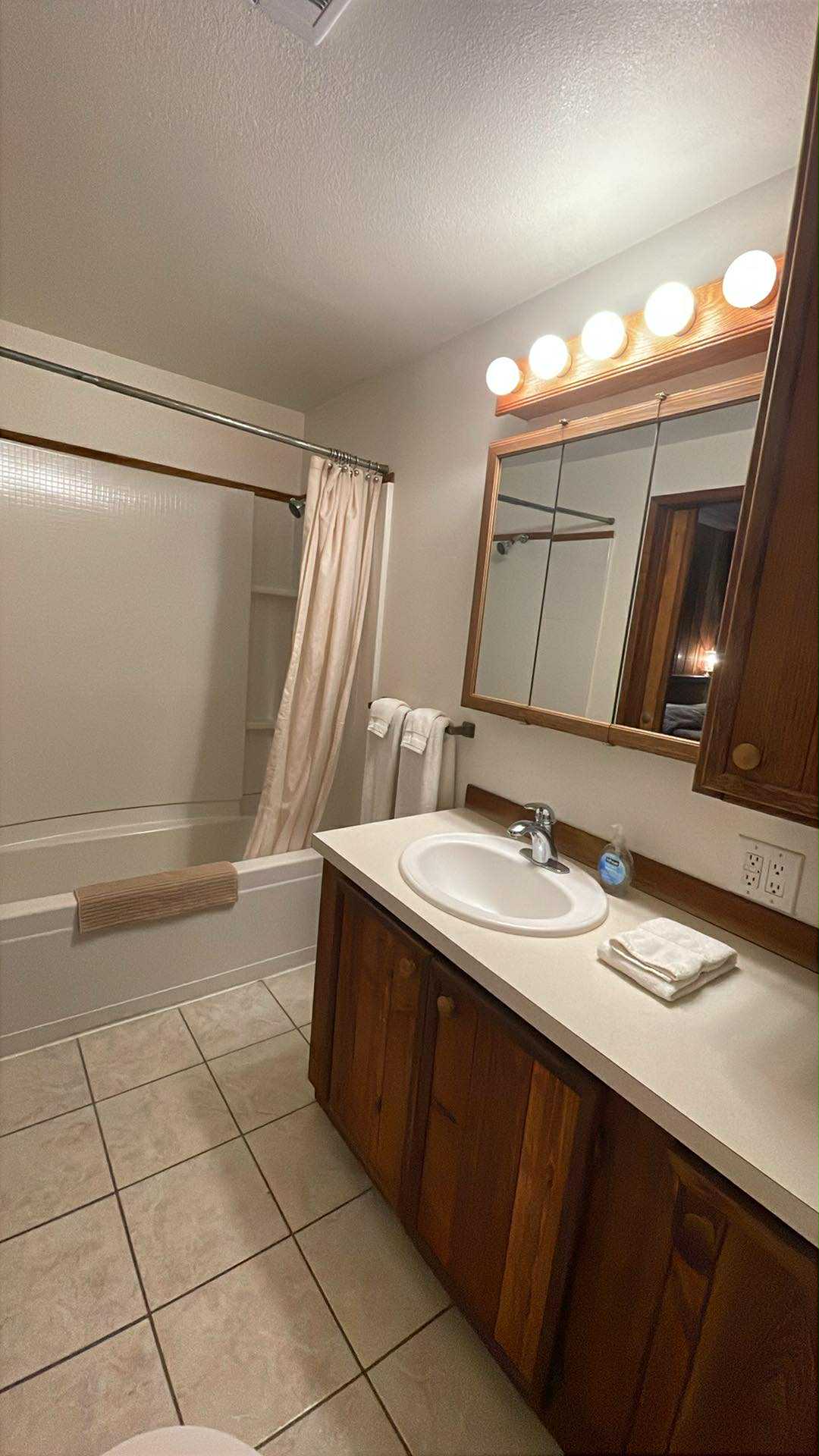 Rainier Cabin bathroom (pic 2 of 2)