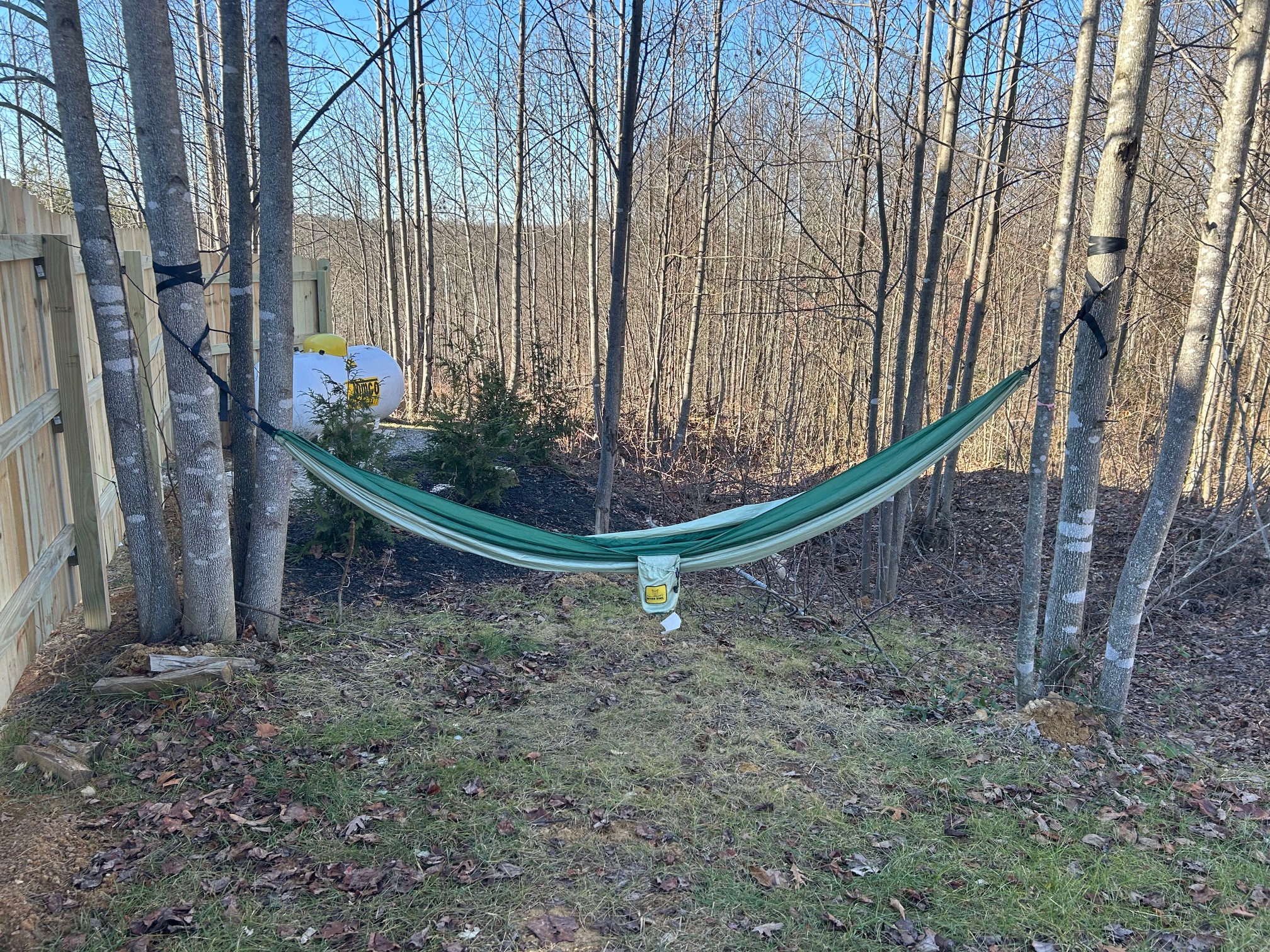 Enjoy Peaceful Serenity in the Hammock!