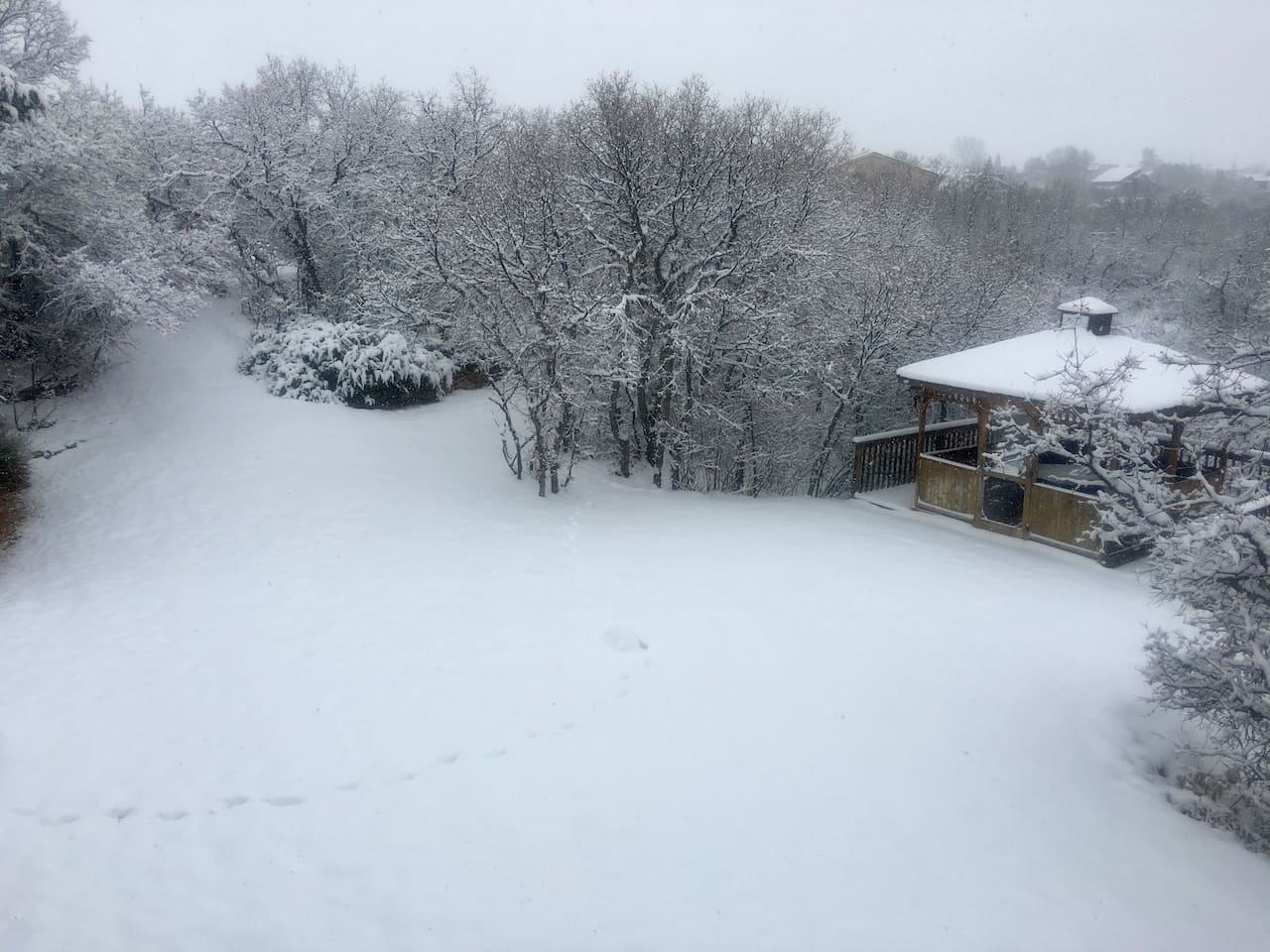 Fresh snow!