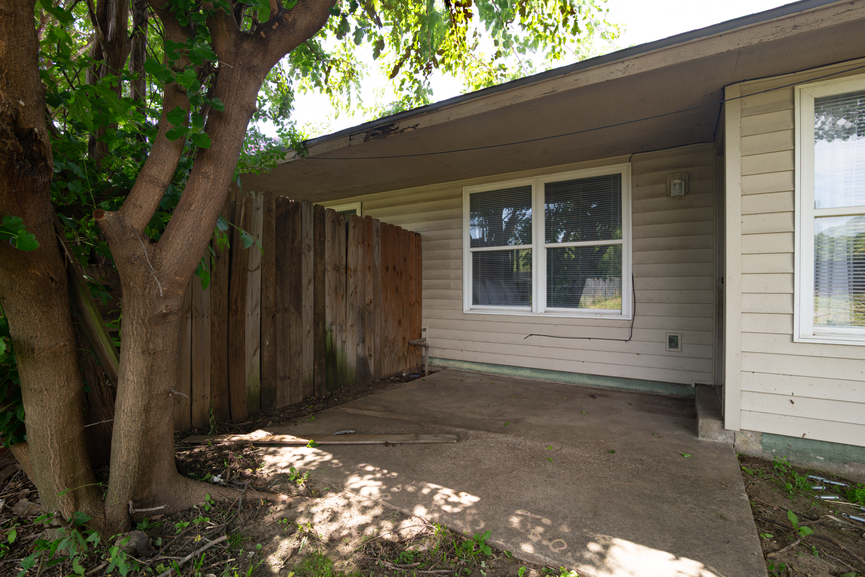 Backyard