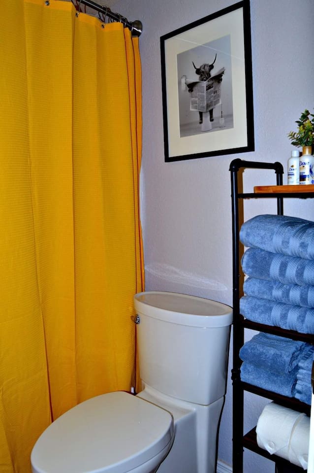 Bathroom with shower and tub combo