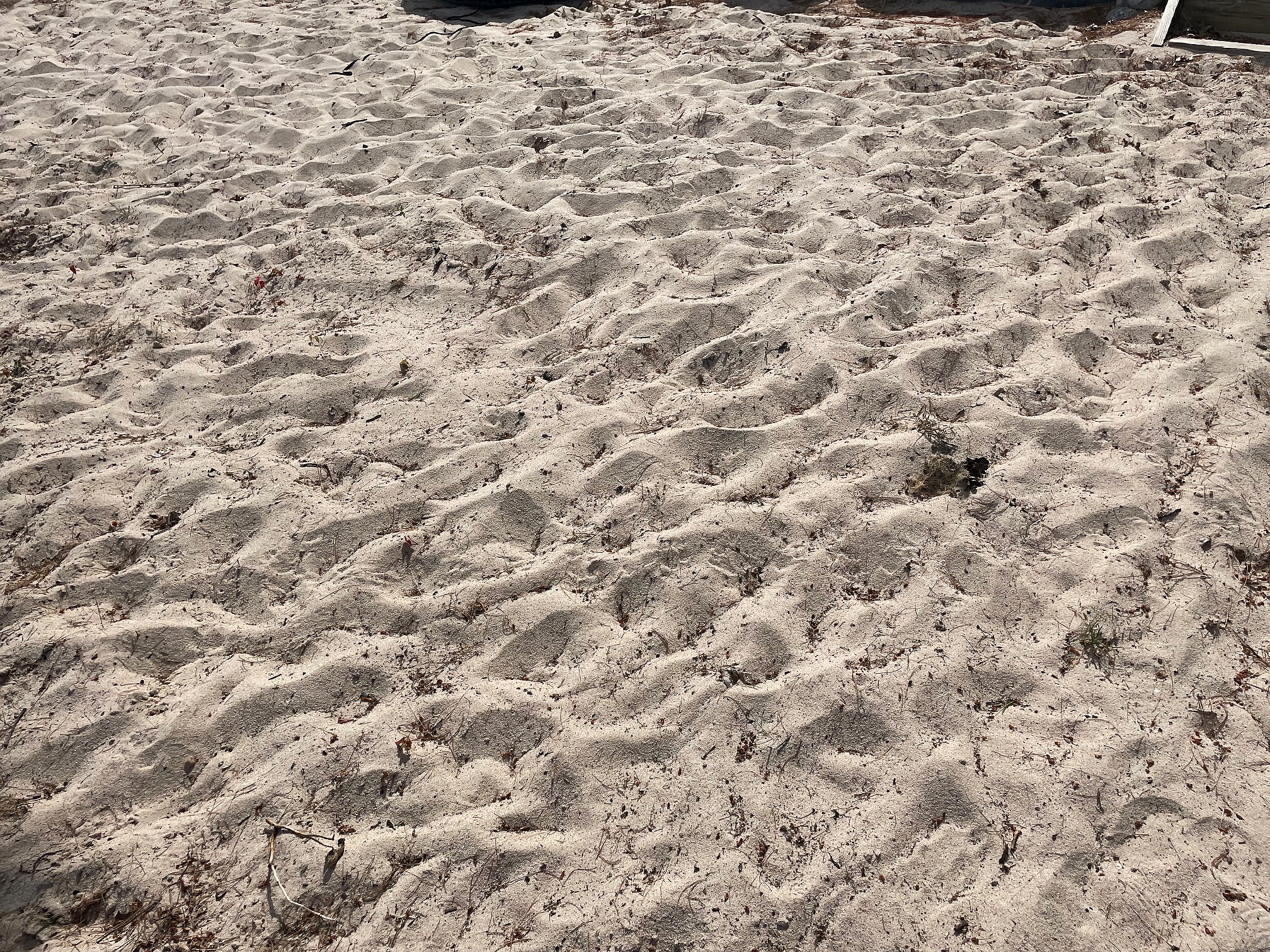 The beautiful sand beach is perfect for our littlest guests