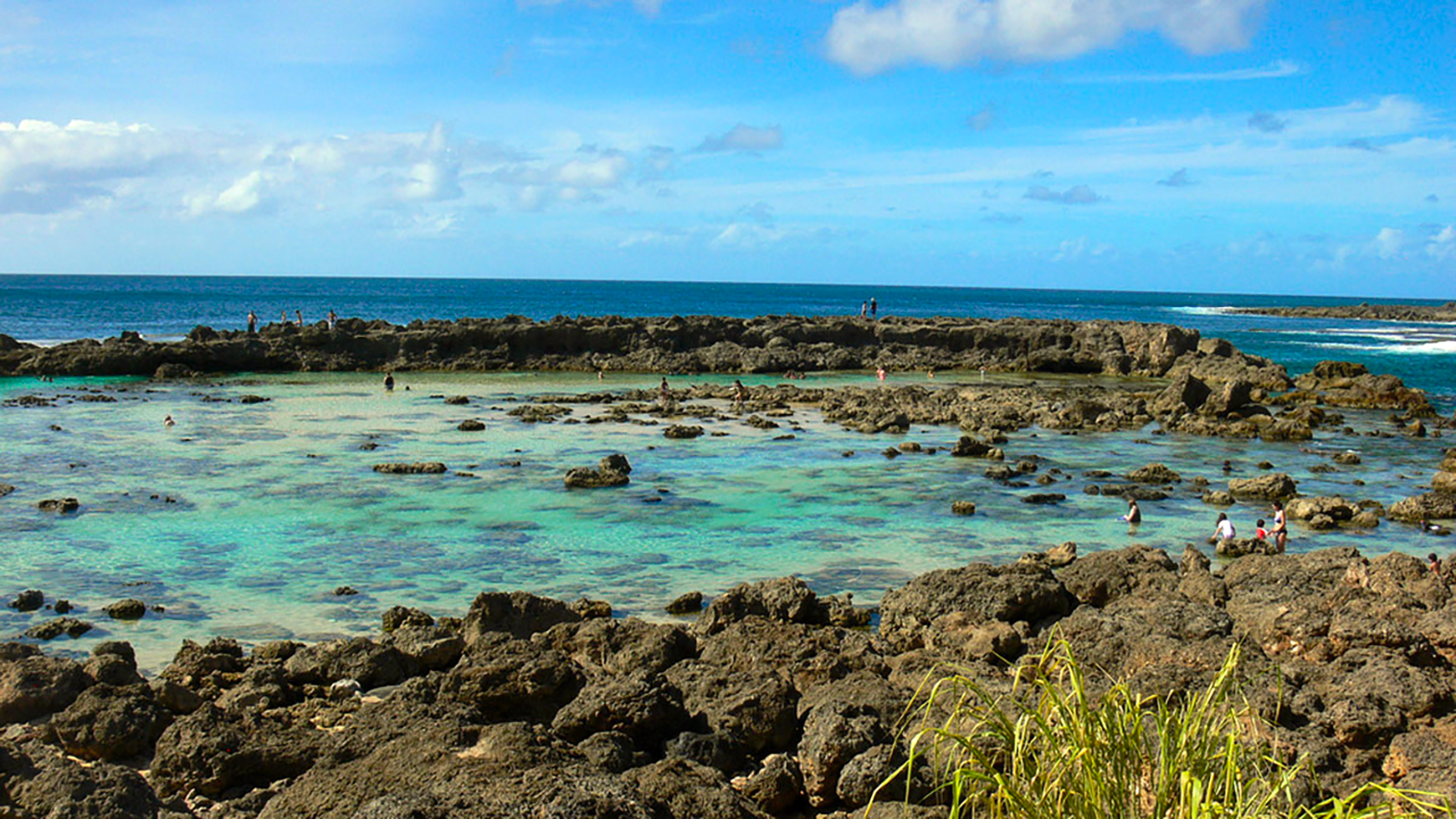 Premier snorkeling just a couple of minutes away!
