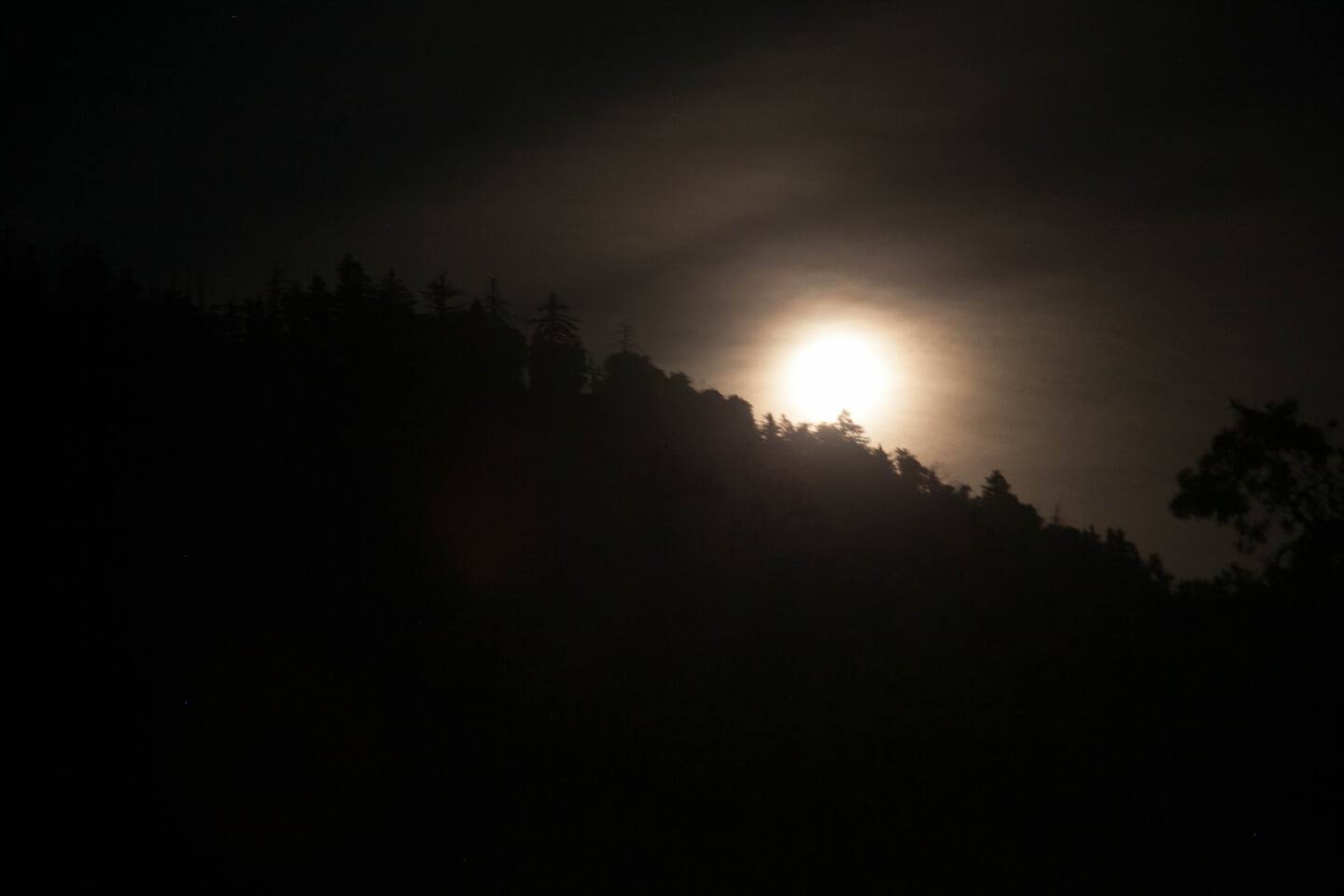 Bad moon arising
