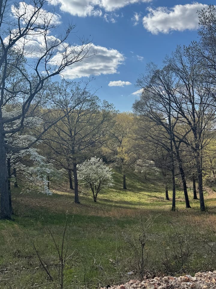 Spring is Beautiful in the Ozarks