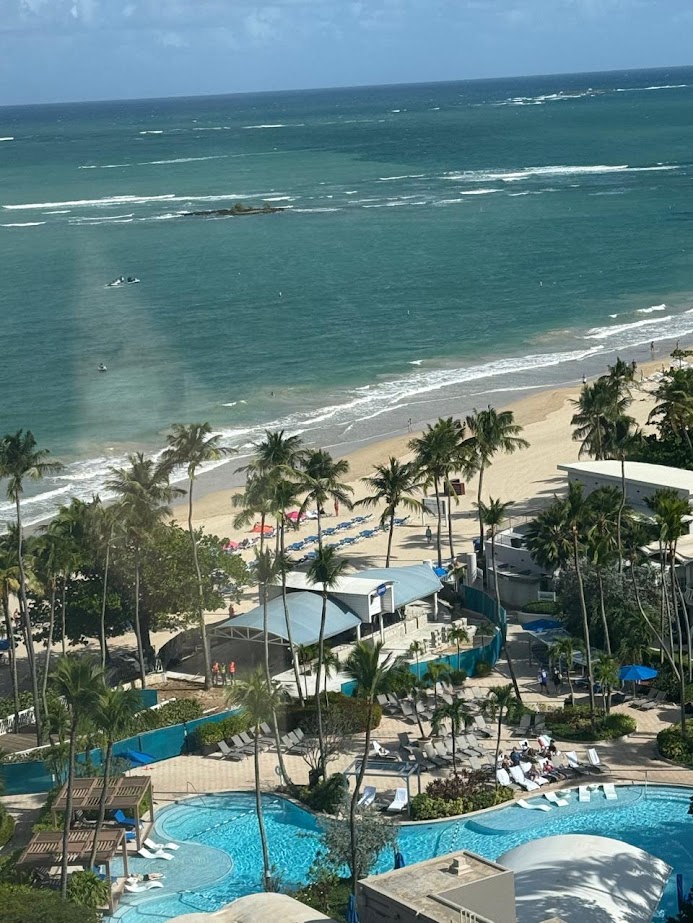 VIEW