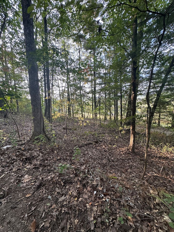 Nestled among mature trees, the property offers a peaceful woodland vibe plus a charming children’s play area—ideal for families to relax while the kids explore and enjoy nature.