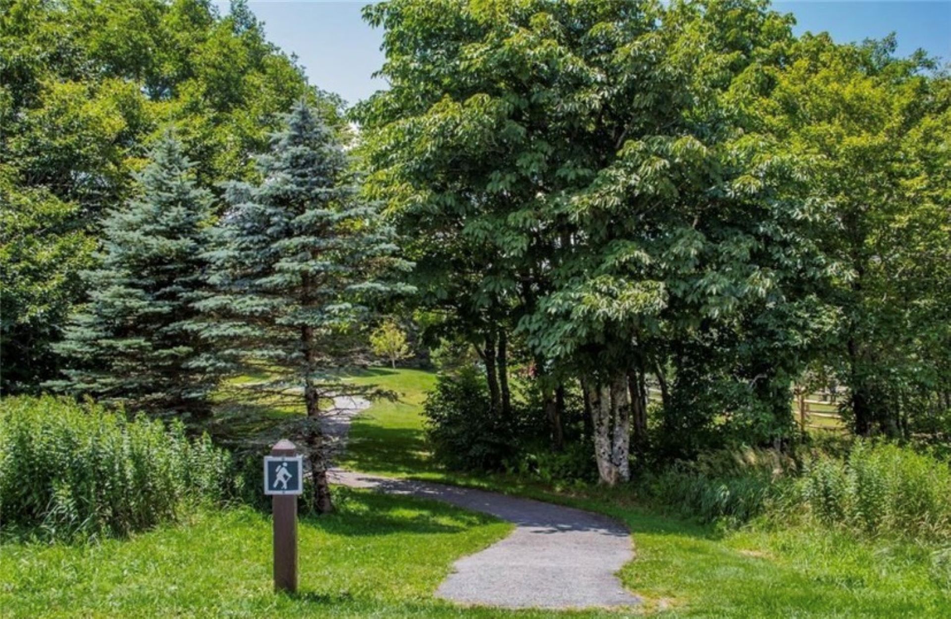 Tons of hiking trails to explore the mountain