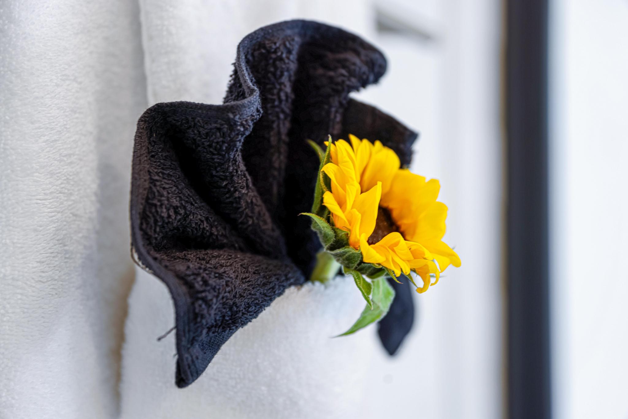 Towels and makeup towels