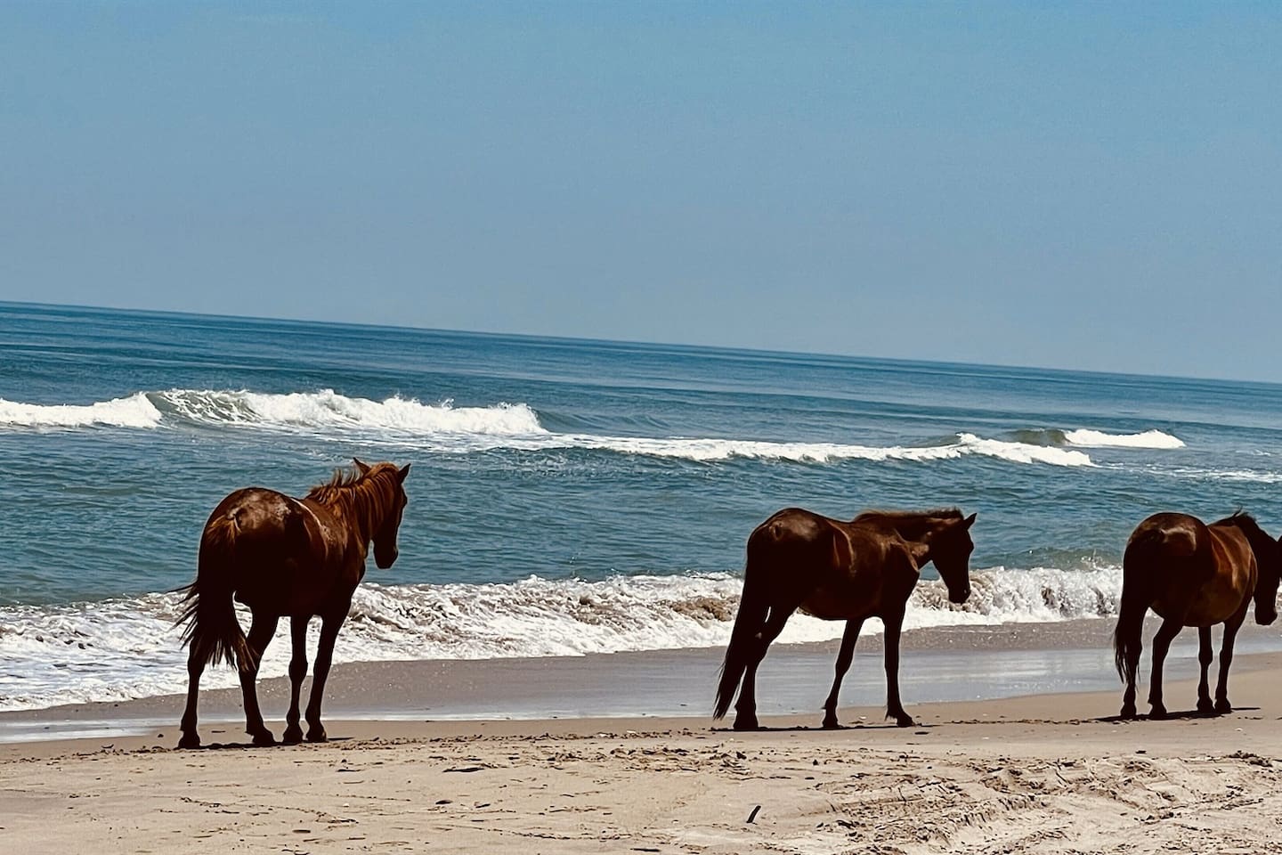 Beautiful, wide-open views of the coast. A great spot for morning walks or watching the waves.